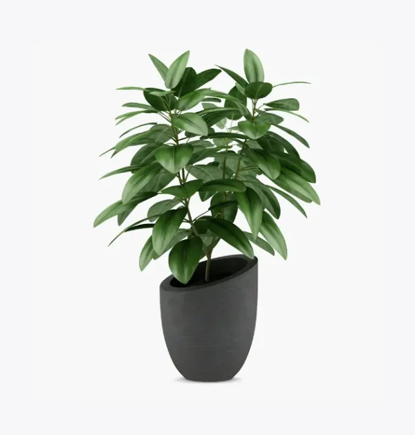 product-image-1_optimized