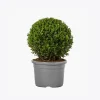 product-image-4_optimized